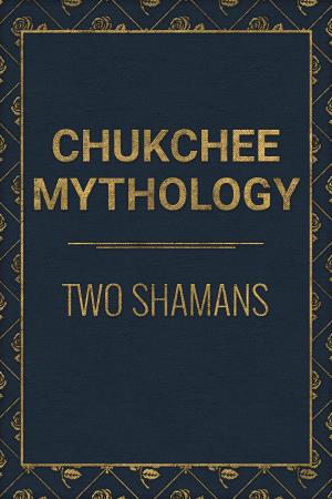 Cover of the book Two Shamans by Andrew Lang