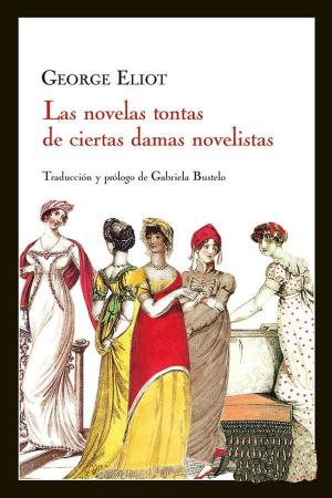 Book cover of Las novelas tontas de ciertas damas novelistas