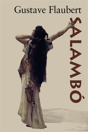Cover of the book Salambo by Victor Hugo