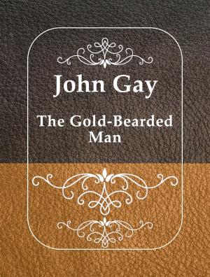 Cover of the book The Gold-Bearded Man by Chinese Fairytales