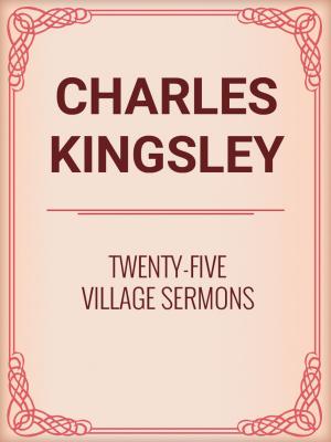 Cover of the book Twenty-Five Village Sermons by Bob Lenz