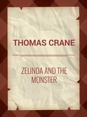 bigCover of the book Zelinda and the Monster by 