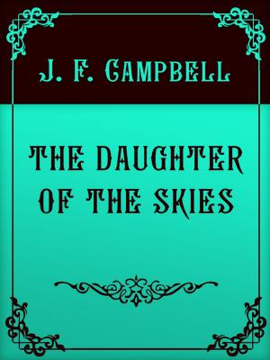 Book cover of THE DAUGHTER OF THE SKIES