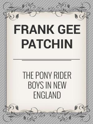 Book cover of The Pony Rider Boys in New England