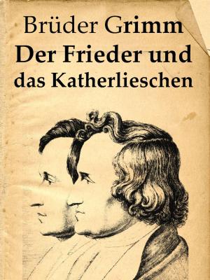 Cover of the book Der Frieder und das Katherlieschen by Folklore and Legends