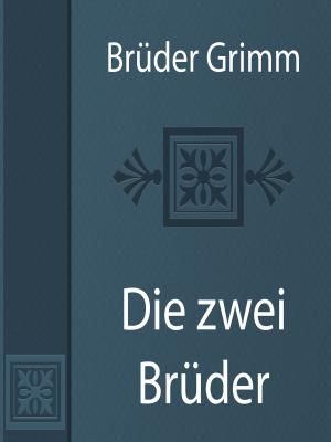 Cover of the book Die zwei Brüder by Charles M. Skinner