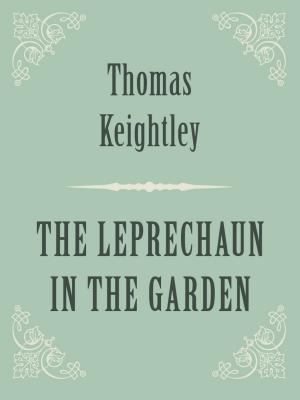Cover of the book THE LEPRECHAUN IN THE GARDEN by Arthur Schopenhauer