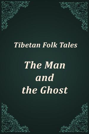 Book cover of The Man and the Ghost