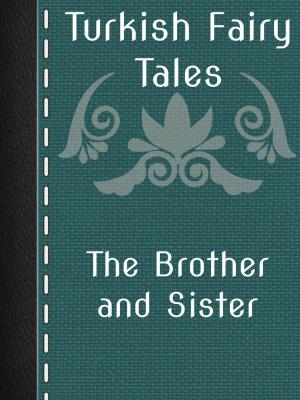 Book cover of The Brother and Sister