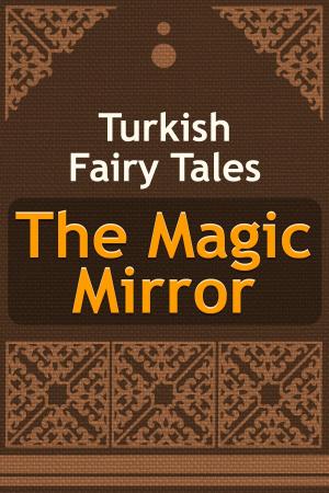 Cover of the book The Magic Mirror by Julia Imari