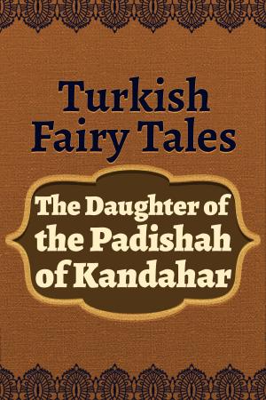 Cover of the book The Daughter of the Padishah of Kandahar by Edwin Sidney Hartland