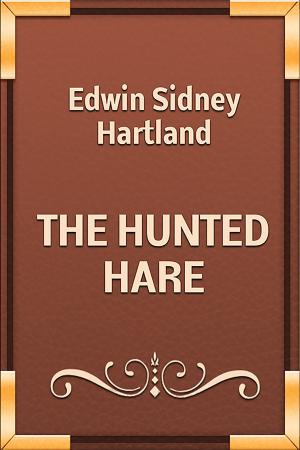 Book cover of THE HUNTED HARE