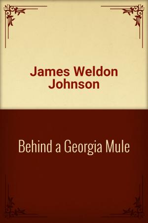 Cover of the book Behind a Georgia Mule by Folklore and Legends