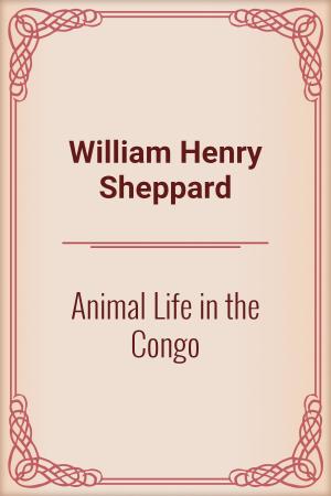 Cover of the book Animal Life in the Congo by Franz Kafka