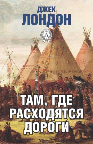 Cover of the book Там, где расходятся дороги by Nicola R. White
