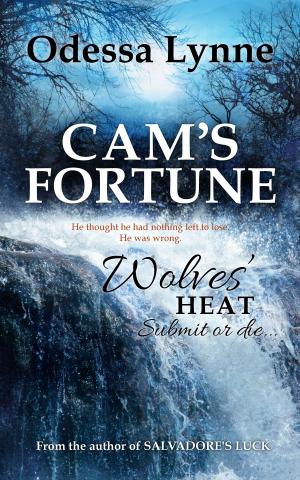 Cover of the book Cam's Fortune by Odessa Lynne