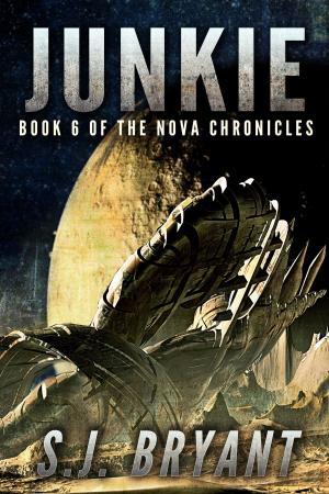 Cover of the book Junkie by Saffron Bryant, S.J. Bryant
