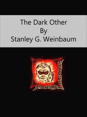 bigCover of the book The Dark Other by 