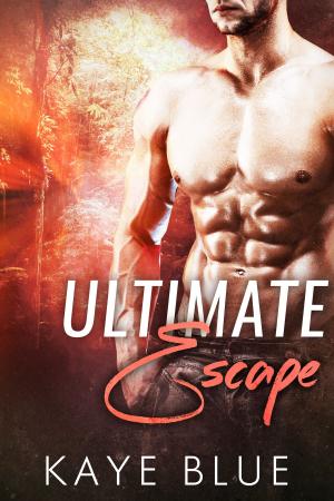 bigCover of the book Ultimate Escape by 