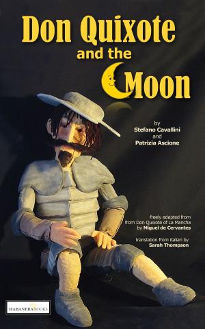 Cover of Don Quixote and the Moon