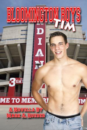 Book cover of Bloomington Boys: Tim