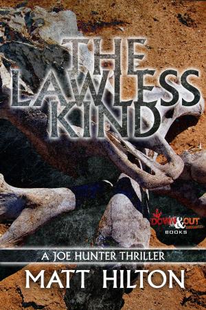 Cover of the book The Lawless Kind by Jen Conley
