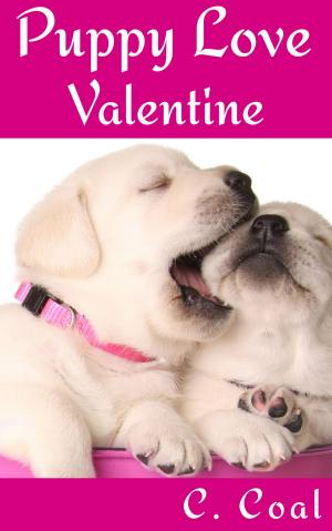 Book cover of Puppy Love Valentine