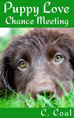 Book cover of Puppy Love Chance Meeting