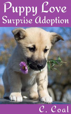 Book cover of Puppy Love Surprise Adoption