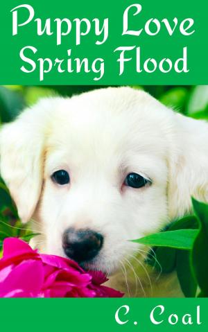 Book cover of Puppy Love Spring Flood