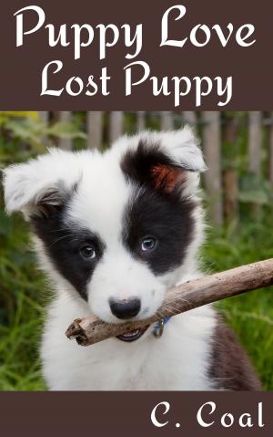 Book cover of Puppy Love Lost Puppy