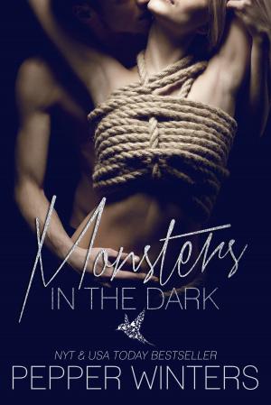 Book cover of Monsters in the Dark Boxed Set