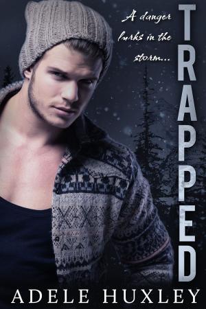 Cover of the book Trapped by Lynn Lipinski