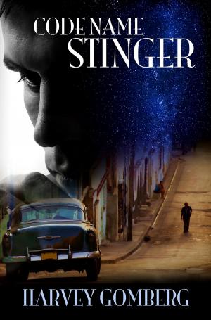 bigCover of the book Code Name Stinger by 