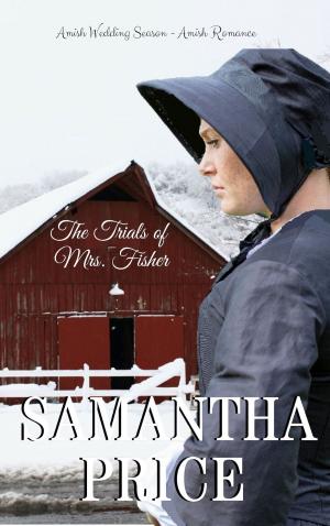 Book cover of The Trials of Mrs. Fisher