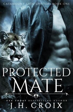 Cover of the book Protected Mate by Jeanne Foguth