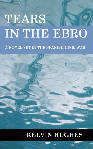 Book cover of Tears in the Ebro