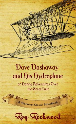 Book cover of Dave Dashaway and His Hydroplane