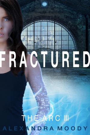 Cover of the book Fractured by Jeni Linden