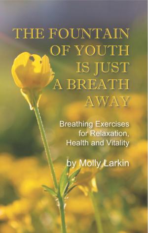Cover of the book The Fountain of Youth Is Just A Breath Away by David Wise, PhD, Rodney A. Anderson, MD