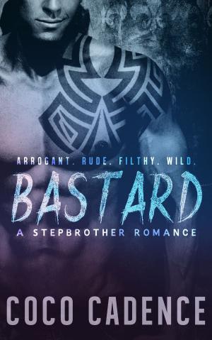 Book cover of Bastard - A Stepbrother Romance