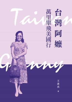 Cover of the book 台灣阿嬤萬里單飛美國行 by Dan Davies