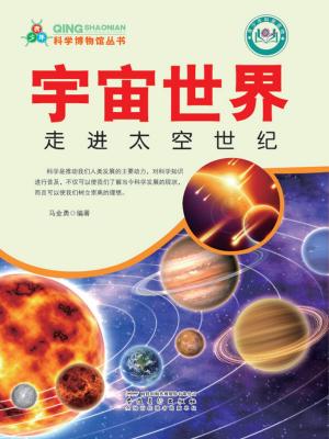 Cover of the book 宇宙世界：走进太空世纪 by Klaus Ferdinand Hempfling