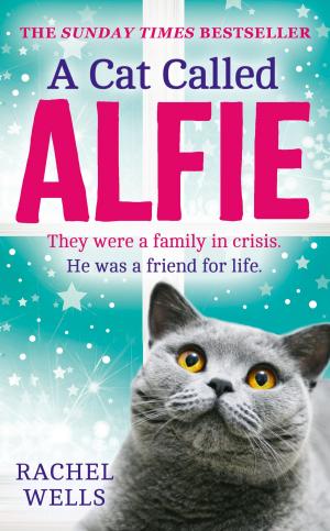 Book cover of A Cat Called Alfie