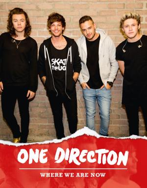 Cover of One Direction: Where We Are Now by One Direction, HarperCollins Publishers
