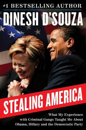 Cover of the book Stealing America by Sarah Palin