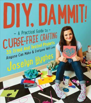 Cover of the book DIY, Dammit! by Pamela Eisenbaum
