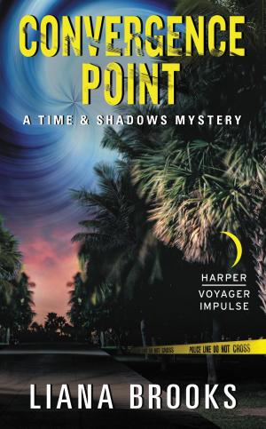 Cover of the book Convergence Point by Mel Odom