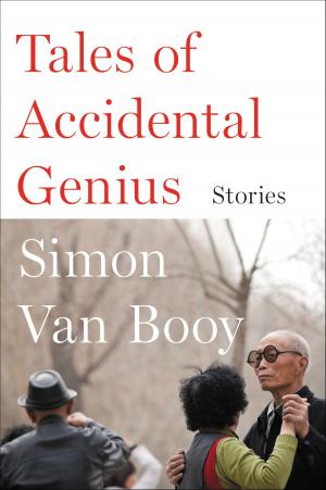 Book cover of Tales of Accidental Genius