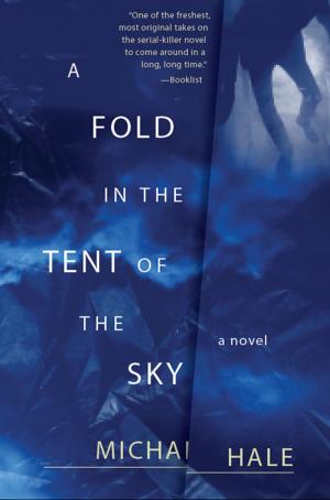 Book cover of A Fold in the Tent of the Sky